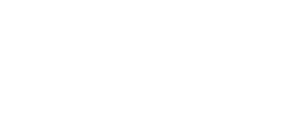 Portfolio Pro Logo